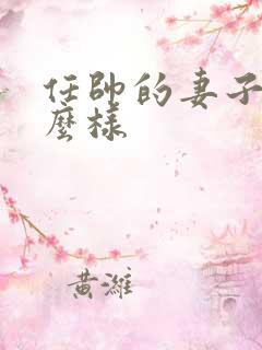 任帅的妻子长什么样