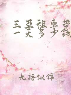 三亚租车带司机一天多少钱