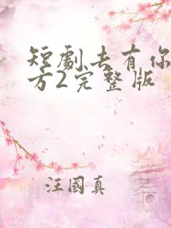 短剧去有你的地方2完整版