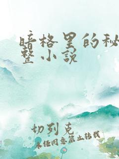 暗格里的秘密完整小说 暗格里的秘密完整小说