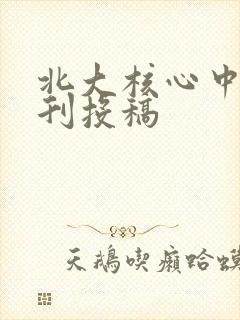 北大核心中文期刊投稿