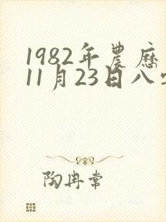 1982年农历11月23日八字运程