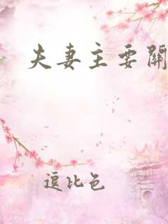 夫妻主要关系