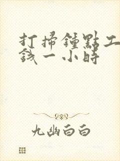 打扫钟点工多少钱一小时