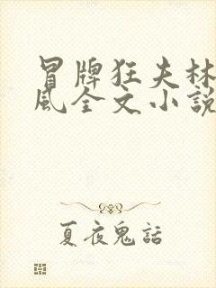 冒牌狂夫林悦顾风全文小说