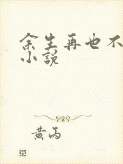 余生再也不相见小说