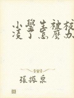 小学生被校园霸凌了怎么办