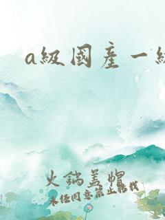 a级国产一级片 a级国产一级片