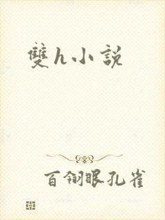 双h小说