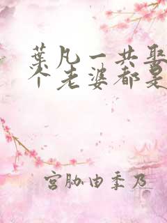 叶凡一共娶了几个老婆都是谁