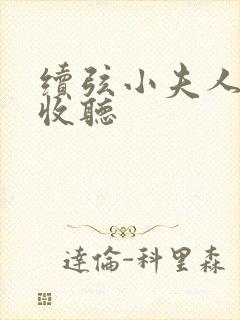 续弦小夫人全文收听