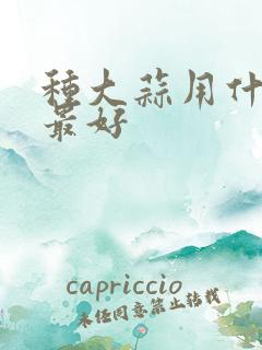 种大蒜用什么肥最好