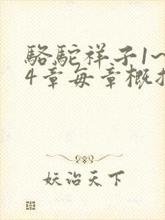骆驼祥子1~24章每章概括