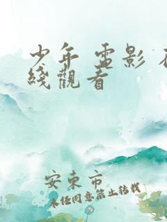 少年 电影 在线观看