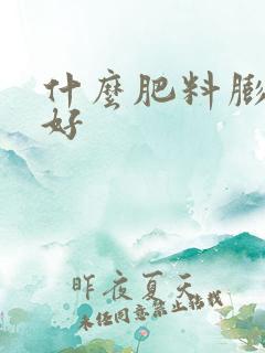 什么肥料膨果最好