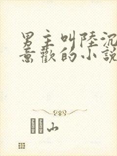 男主叫陆沉舟沈意欢的小说免费阅读