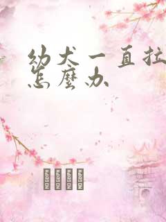 幼犬一直拉软便怎么办