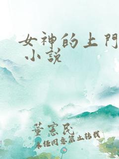 女神的上门豪婿 小说