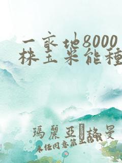 一亩地8000株玉米能种吗