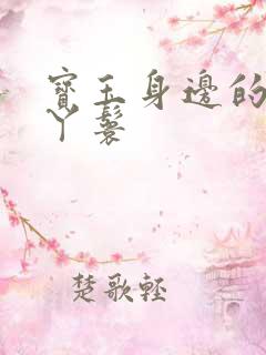 宝玉身边的四大丫鬟