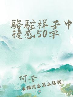 骆驼祥子中的读后感50字