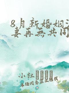 8月新婚姻法夫妻再无共同财产