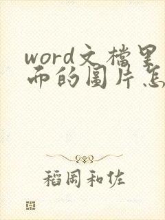 word文档里面的图片怎么压缩分辨率