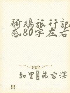骑鹅旅行记读后感80字左右