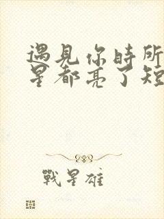 遇见你时所有星星都亮了短剧合集