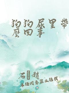 狗狗尿里带血怎么回事