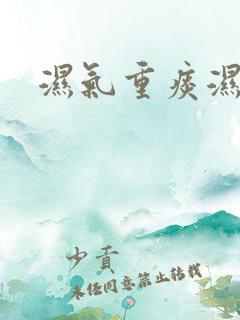 湿气重痰湿重