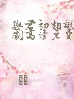与君初相识电视剧高清免费观看