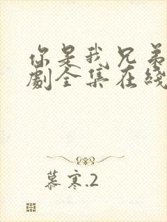 你是我兄弟电视剧全集在线观看