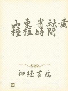 山东省秋黄瓜的种植时间