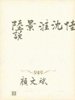 陆景淮沈佳念小说