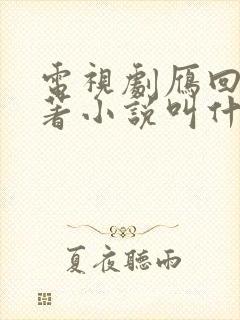 电视剧雁回时原著小说叫什么
