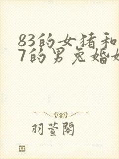 83的女猪和87的男兔婚姻怎么样