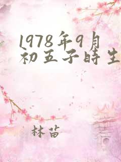1978年9月初五子时生辰八字算命