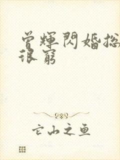 曾辉闪婚总裁都很穷