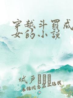 穿越斗罗成为圣女的小说