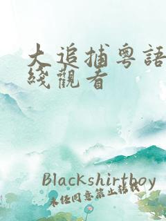 大追捕粤语版在线观看
