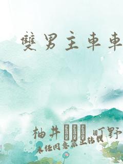 双男主车车动漫