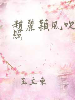赵丽颖风吹半剧照