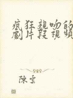 疯狂亲吻的电视剧片段视频