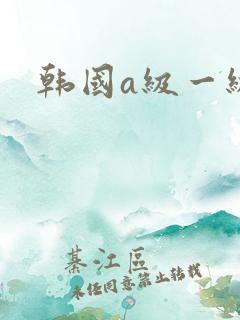 韩国a级一级片