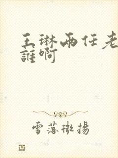 王琳两任老公是谁啊