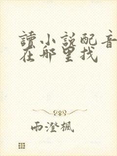 读小说配音兼职在哪里找