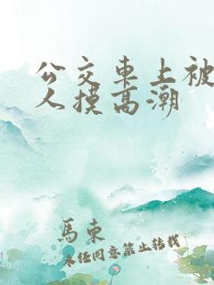 公交车上被陌生人摸高潮