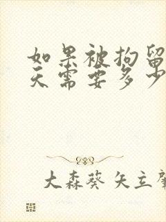 如果被拘留十五天需要多少钱才可以保释