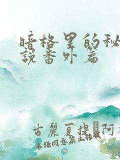暗格里的秘密小说番外篇 暗格里的秘密小说番外篇